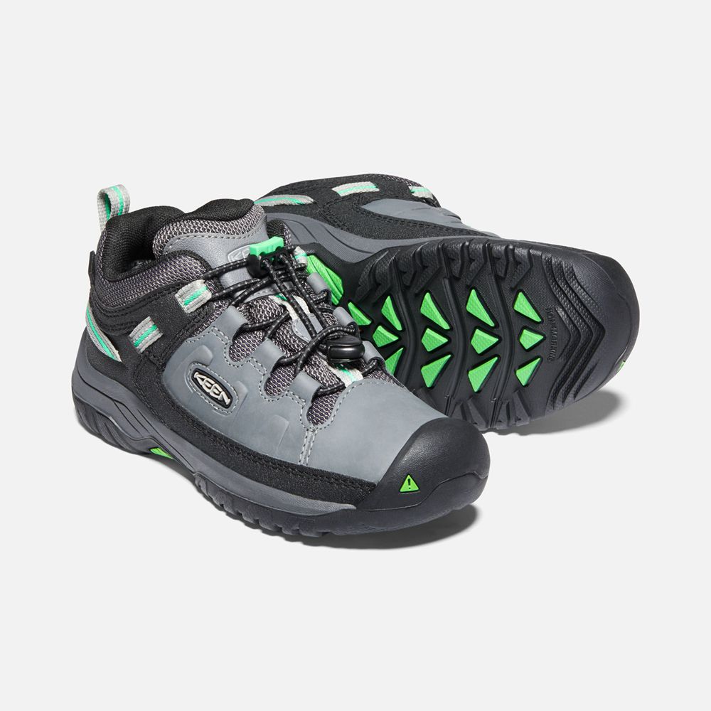 Chaussure de Randonnée Keen Enfant porno/Vert | Targhee Waterproof | VSYIU-8701